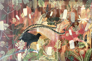 Lyrebird Dance in the Banksias