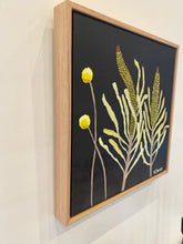 Load image into Gallery viewer, Billy Buttons &amp; Banksia #4