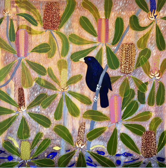 Satin Bowerbird in the Banksias