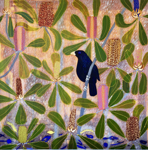 Satin Bowerbird in the Banksias