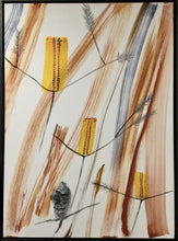 Load image into Gallery viewer, Spinulosa